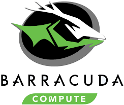 Seagate Barracuda